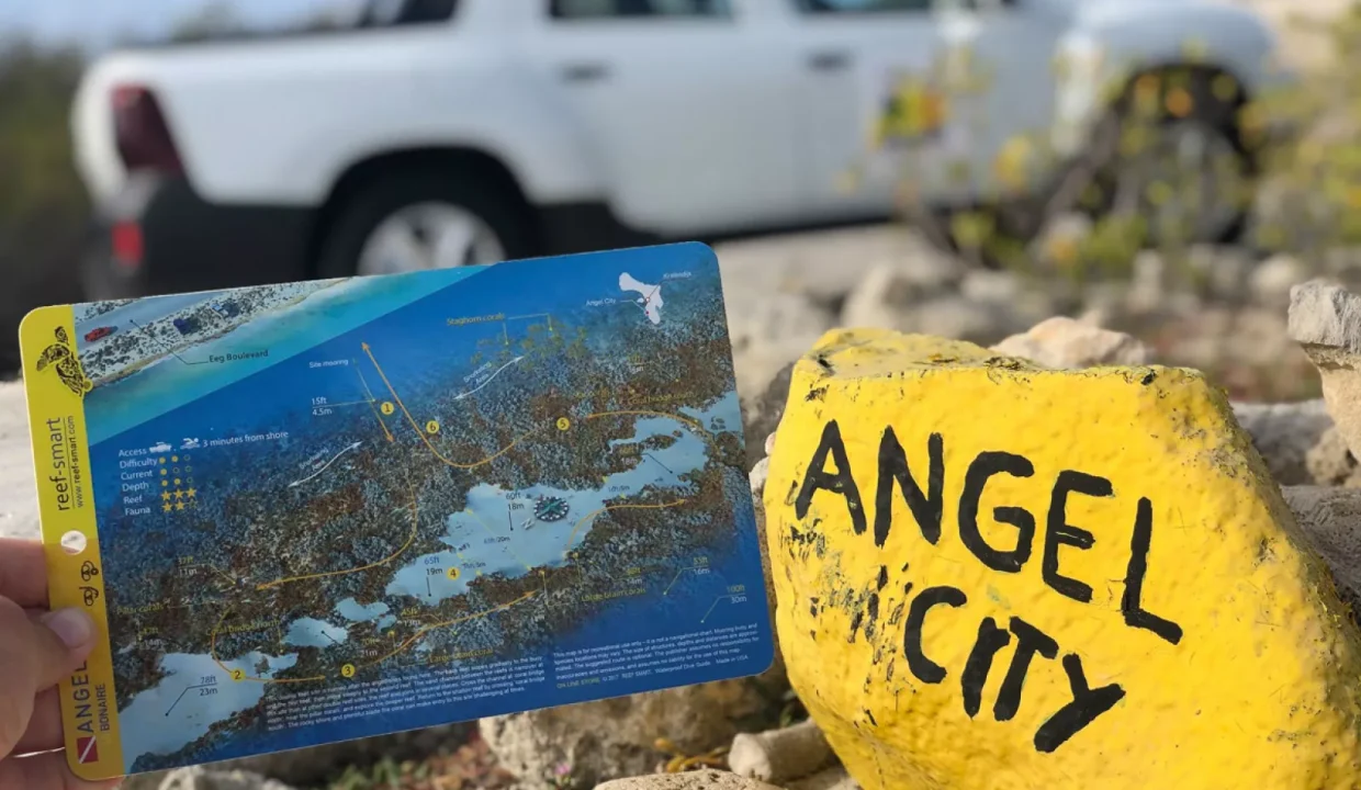 Buddy Dive Resort (2)