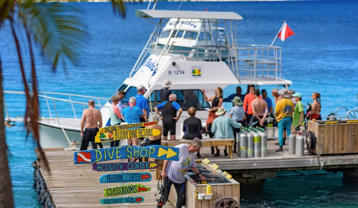 Buddy Dive Resort (7)