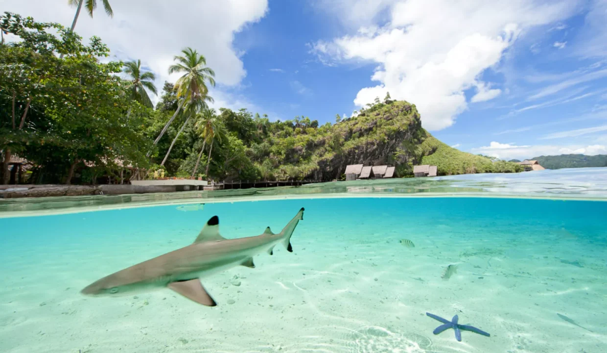 Misool Eco Resort (7)